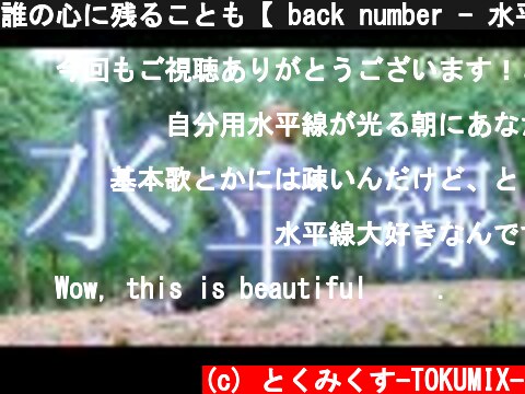 誰の心に残ることも【 back number - 水平線 】(TOKUMIX full cover.) 【歌詞・コードあり】  (c) とくみくす-TOKUMIX-
