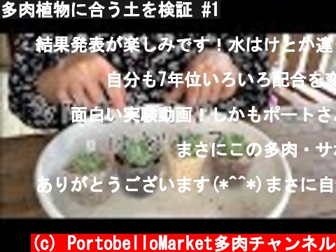 多肉植物に合う土を検証 #1  (c) PortobelloMarket多肉チャンネル
