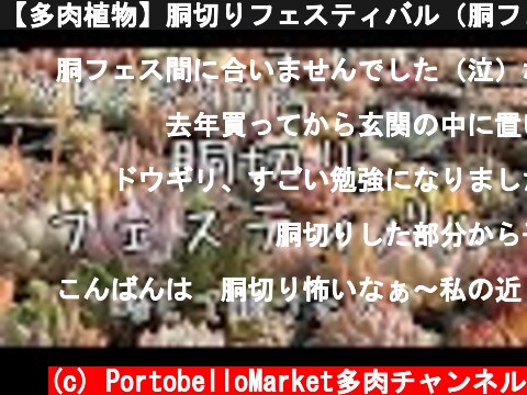 【多肉植物】胴切りフェスティバル（胴フェス）会場  (c) PortobelloMarket多肉チャンネル