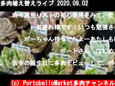 多肉植え替えライブ 2020.09.02  (c) PortobelloMarket多肉チャンネル