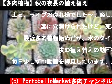 【多肉植物】秋の夜長の植え替え  (c) PortobelloMarket多肉チャンネル