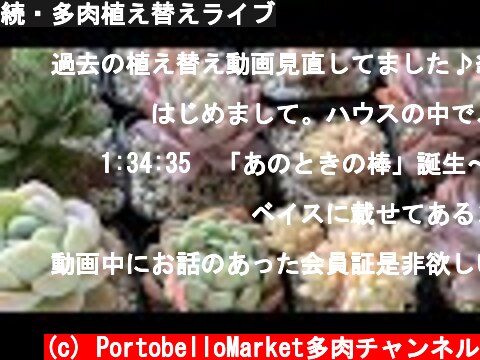 続・多肉植え替えライブ  (c) PortobelloMarket多肉チャンネル