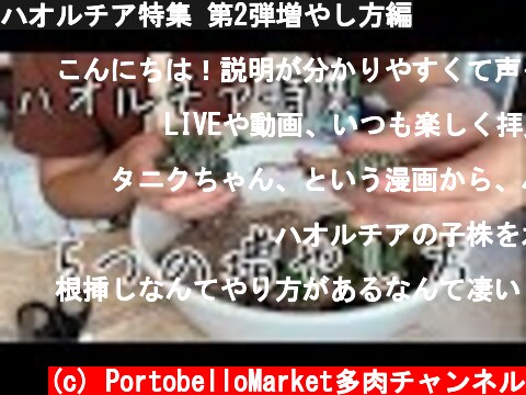 ハオルチア特集 第2弾増やし方編  (c) PortobelloMarket多肉チャンネル