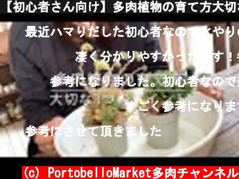 【初心者さん向け】多肉植物の育て方大切なポイント3つ！  (c) PortobelloMarket多肉チャンネル