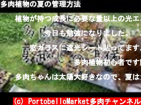 多肉植物の夏の管理方法  (c) PortobelloMarket多肉チャンネル