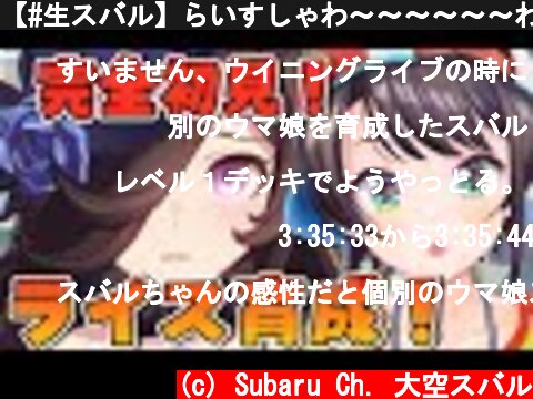 【#生スバル】らいすしゃわ～～～～～～わ～～～～！！！！：UMA MUSUME【ホロライブ/大空スバル】  (c) Subaru Ch. 大空スバル