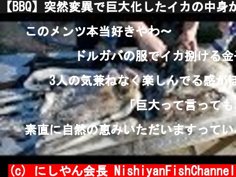 【BBQ】突然変異で巨大化したイカの中身が･･･Gigant squid barbecue  (c) にしやん会長 NishiyanFishChannel