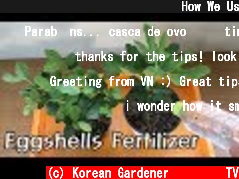공짜로 천연비료 만드는 방법ㅣHow We Use Eggshells in Our Garden  (c) Korean Gardener 초록식물TV