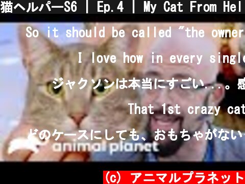 猫ヘルパーS6 | Ep.4 | My Cat From Hell  (c) アニマルプラネット