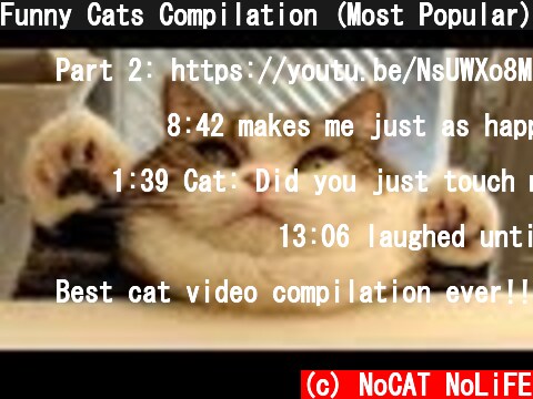 Funny Cats Compilation (Most Popular) Part 1  (c) NoCAT NoLiFE