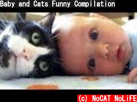 Baby and Cats Funny Compilation  (c) NoCAT NoLiFE