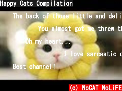 Happy Cats Compilation  (c) NoCAT NoLiFE
