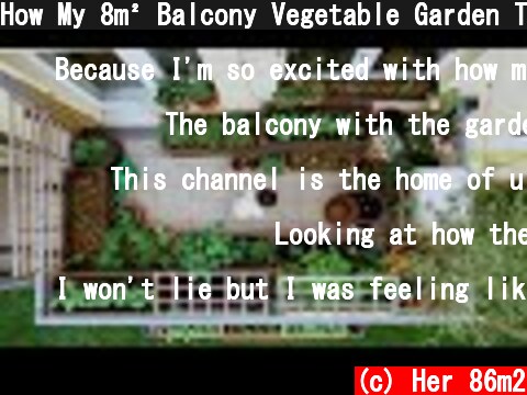 How My 8m² Balcony Vegetable Garden Transformed in 6 Weeks 👨‍🌾  (c) Her 86m2