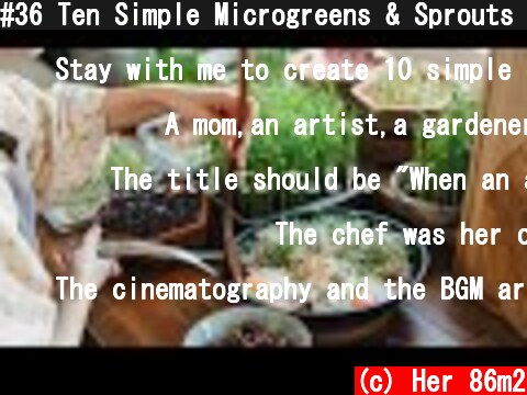 #36 Ten Simple Microgreens & Sprouts Recipes 🤤 | Seed to Table  (c) Her 86m2