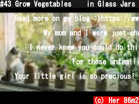 #43 Grow Vegetables 🥬 in Glass Jars - Without Soil | Hydroponic Gardening  (c) Her 86m2