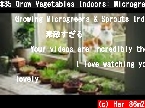 #35 Grow Vegetables Indoors: Microgreens & Sprouts - From Seed to Harvest  (c) Her 86m2