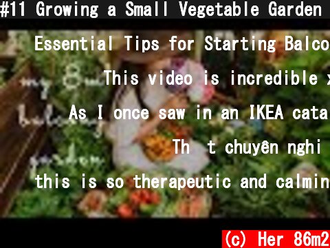 #11 Growing a Small Vegetable Garden on my Balcony (8sqm) (2020)  (c) Her 86m2