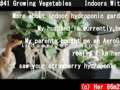 #41 Growing Vegetables 🥬 Indoors Without Soil Nor Sun | Hydroponic Gardening  (c) Her 86m2