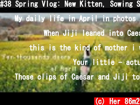 #38 Spring Vlog: New Kitten, Sowing Seeds, Cooking, Houseplants... | Daily Life in April  (c) Her 86m2