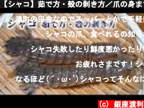 【シャコ】茹で方・殻の剥き方／爪の身まで綺麗に取って食べる方法  (c) 銀座渡利