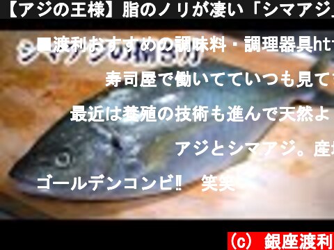 【アジの王様】脂のノリが凄い「シマアジ」の捌き方・刺身の作り方  (c) 銀座渡利