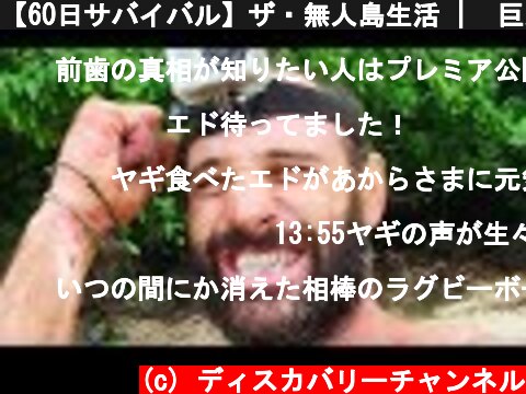 【60日サバイバル】ザ・無人島生活 |  巨大ヤドカリ (ディスカバリーチャンネル)  (c) ディスカバリーチャンネル