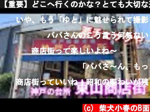 【重要】どこへ行くのかな？とても大切な道筋の紹介　神戸東山商店街・みなとがわ市場・グルメ  (c) 柴犬小春のB面