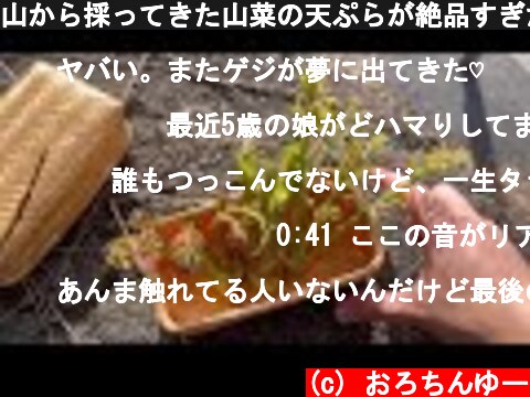 山から採ってきた山菜の天ぷらが絶品すぎた【春の山菜】  (c) おろちんゆー