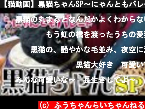 【猫動画】黒猫ちゃんSP〜にゃんともパレード〜  (c) ふうちゃんらいちゃんねる