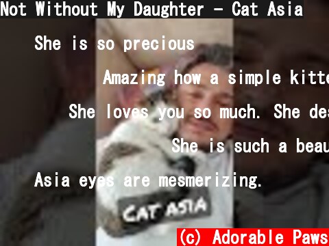 Not Without My Daughter - Cat Asia  (c) Adorable Paws