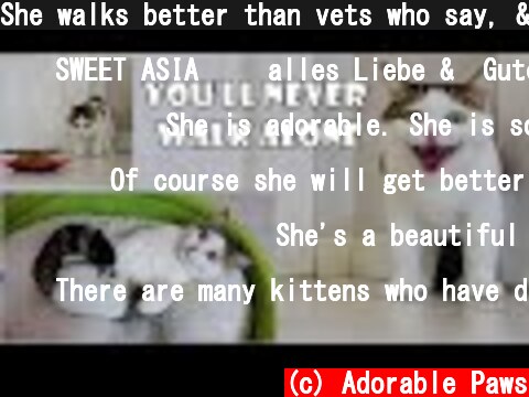 She walks better than vets who say, 'This cat can never walk. Cat Asia.  (c) Adorable Paws