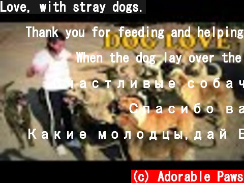 Love, with stray dogs.  (c) Adorable Paws