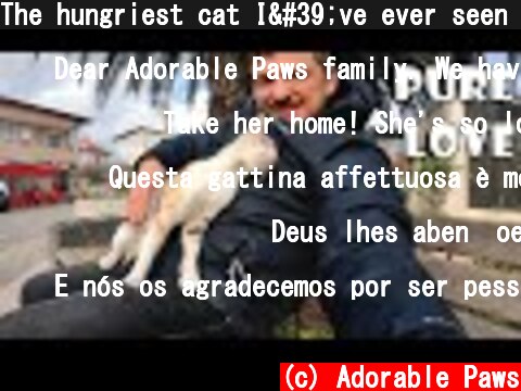 The hungriest cat I've ever seen in my life. He thanks me for feeding. He pays his debt with love.  (c) Adorable Paws